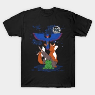 Do a Barrel Roll T-Shirt